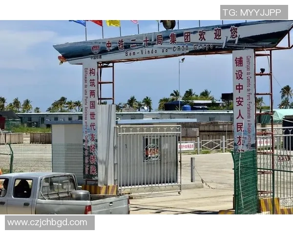 喀麦隆与加纳激战正酣比赛结果揭晓引发热议