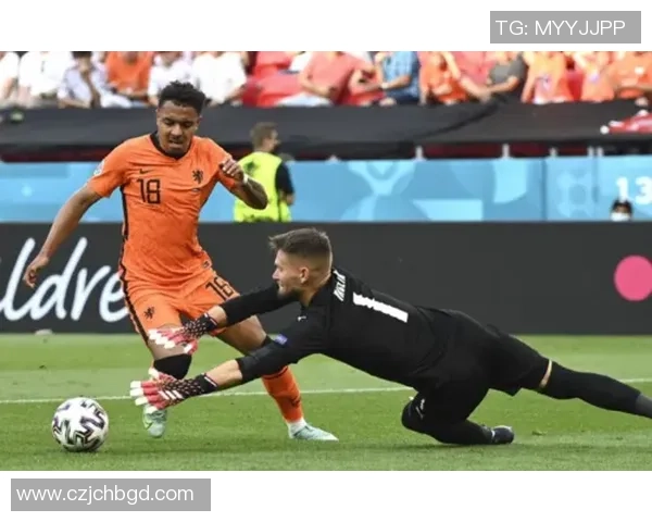 葡萄牙对阵荷兰足彩分析及投注建议全面解读